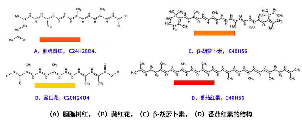 藏紅花、胭脂樹紅、β-胡蘿卜素、番茄紅素的化學(xué)結(jié)構(gòu)